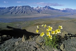 Nordeuropa, Grnland: Inuit, Eisberge und Nordlichter - Bergpanorama