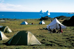 Nordeuropa, Grönland: Inuit, Eisberge und Nordlichter - Zeltlager